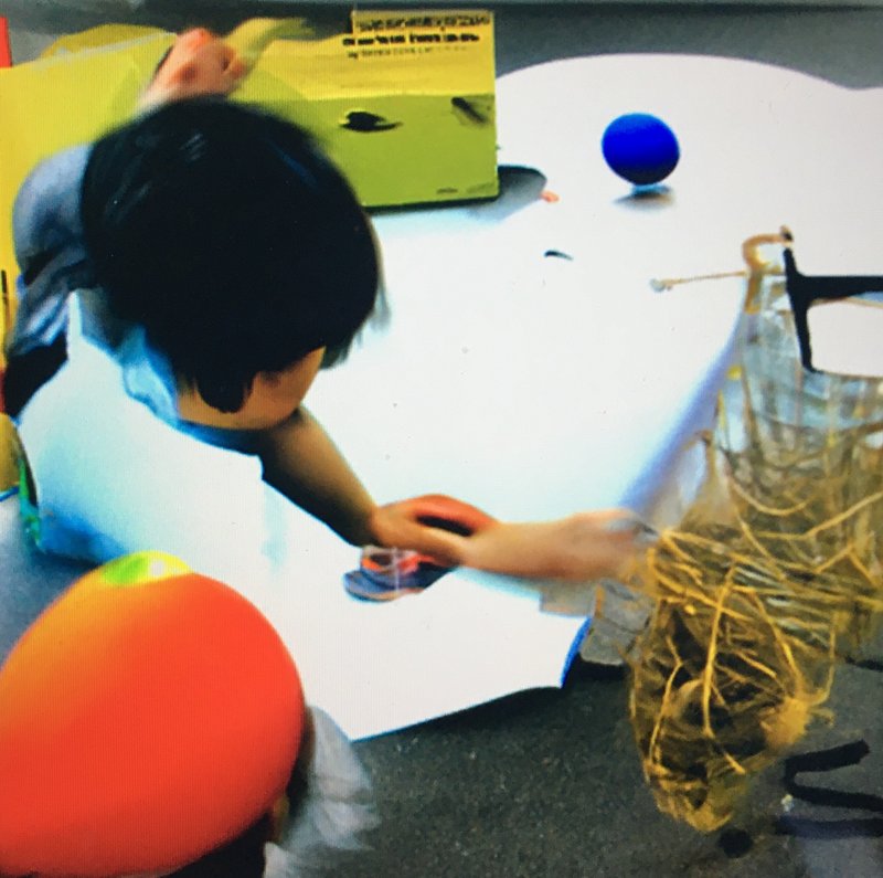 Network Research Cultural Education