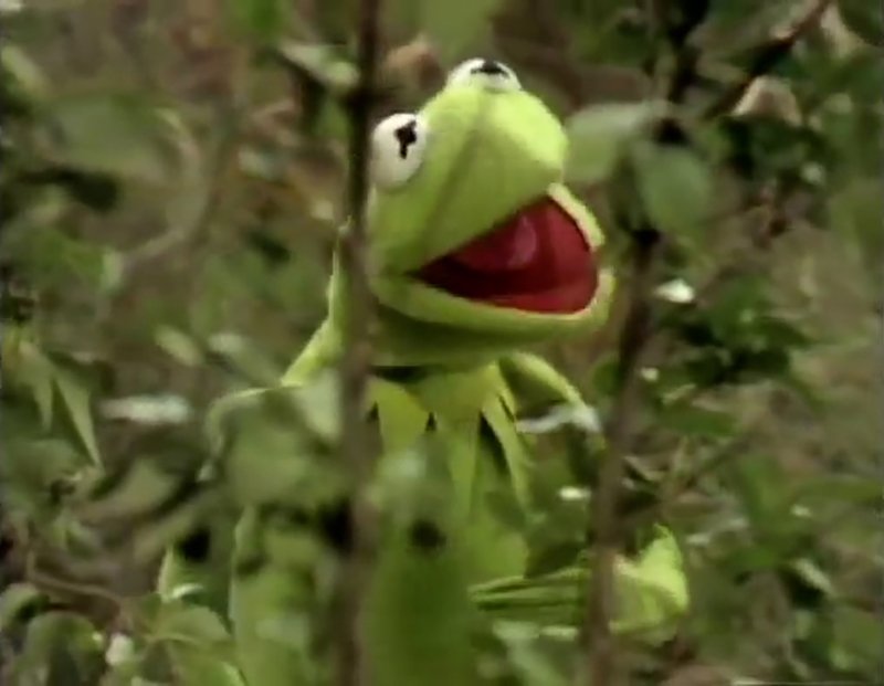 The Muppet Show: Bein’ Green written by Joe Raposo, video still, ©The Muppet Show, 1970