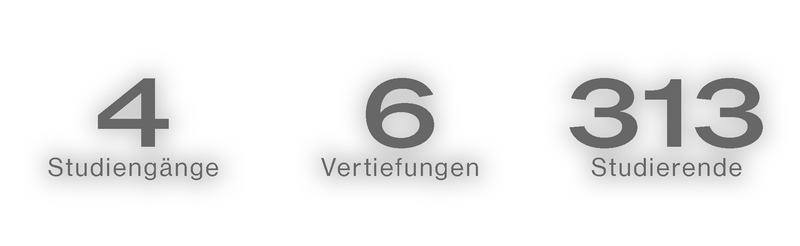 4 Studiengänge, 6 Vertiefungen, 313 Studierende