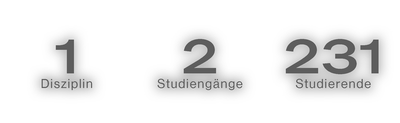 1 Disziplin, 2 Studiengänge, 231 Studierende