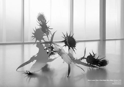Image Credit: Courtesy of the artist Clara Álvarez