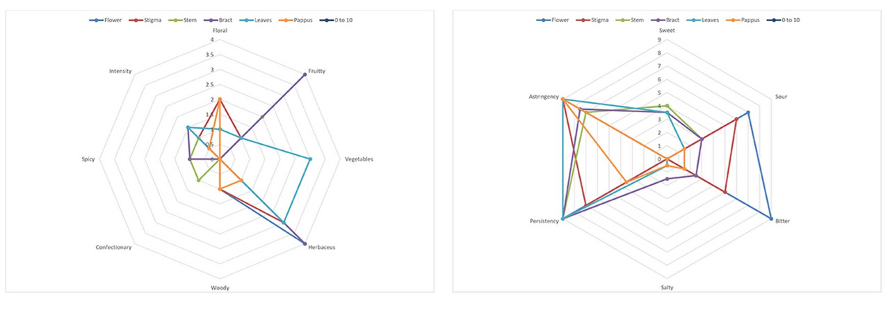 Figure 12. Aromas Spider Web Comparison and Taste Web Comparison, ©Orietta Gianjorio