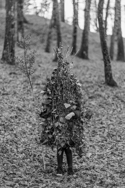 20260129 More Than Human