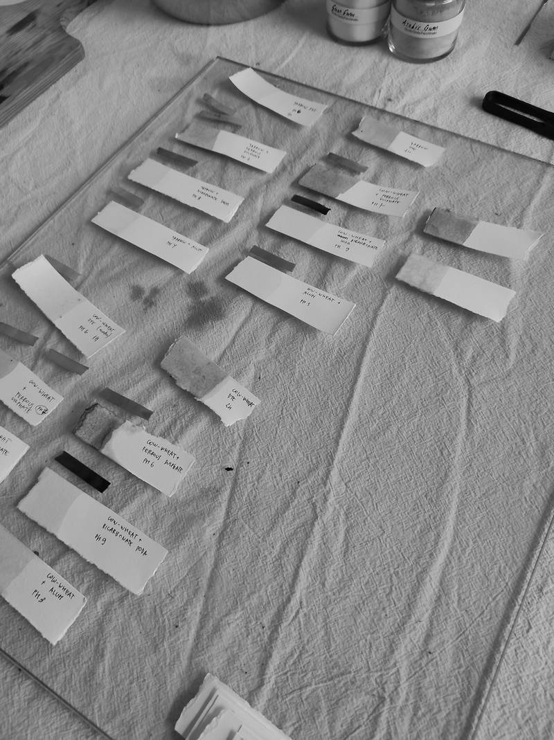 Bild