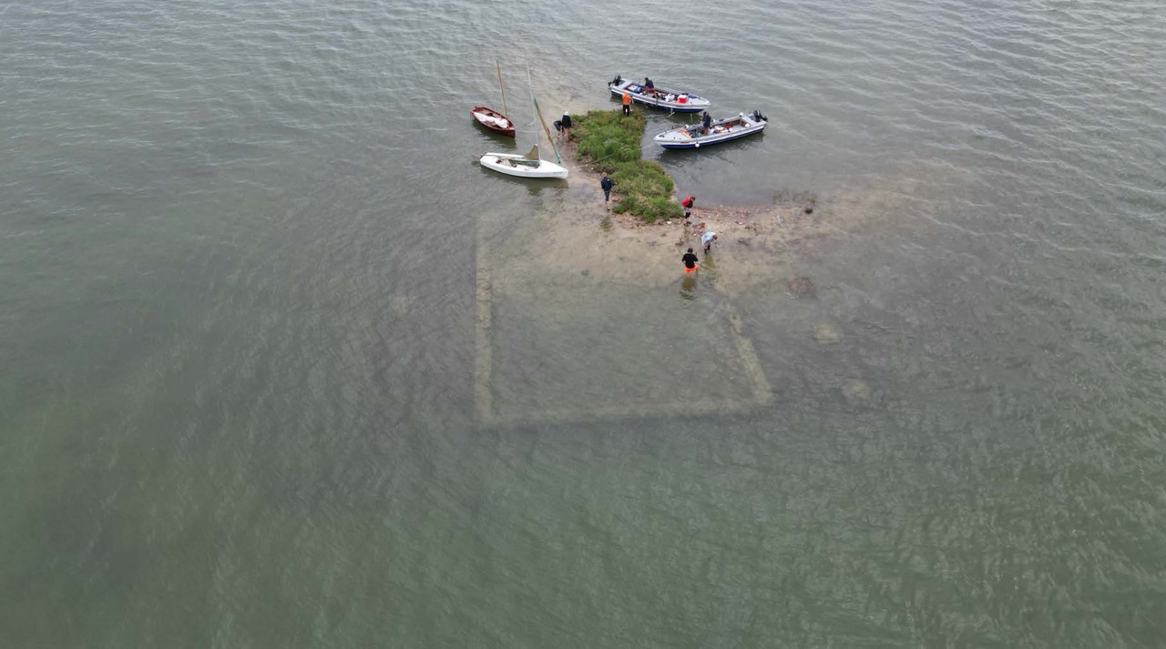 Laboratorio Laguna, 2024