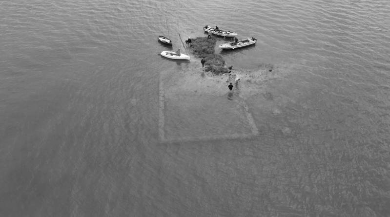 Laboratorio Laguna, 2024