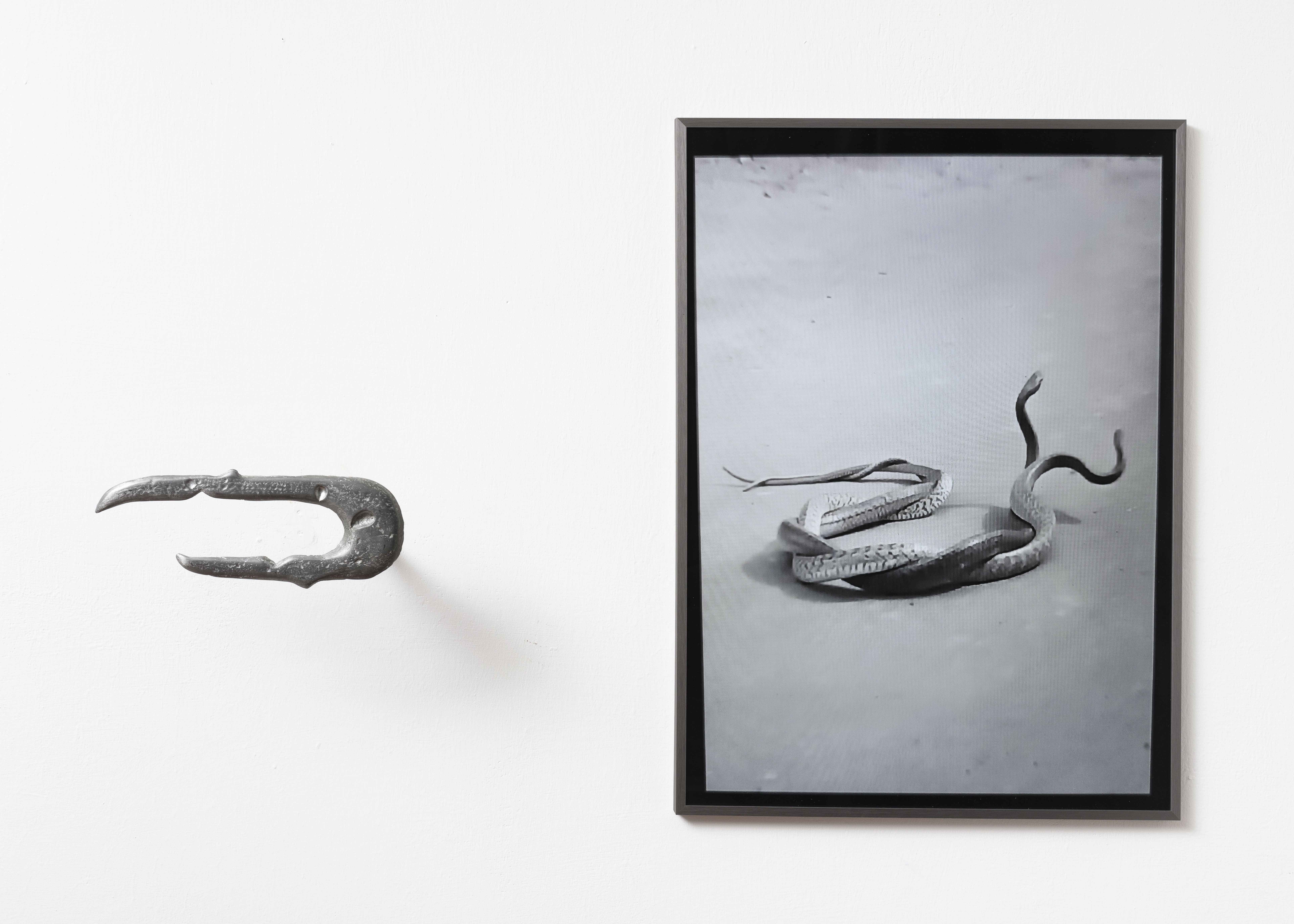 Ausstellungsansicht, Ambra Viviani, Discernment, 2022, tin, 12x30cm, Reinvention, 2022, inkjet print in aluminum frame, 70x50cm