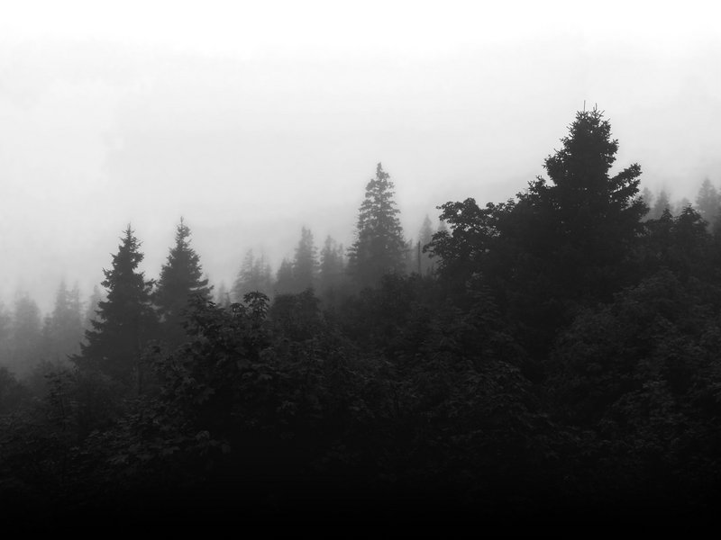 Marc Zürcher: Mission Stille – Ein atmosphärisches Hörstück in sechs Szenen 
