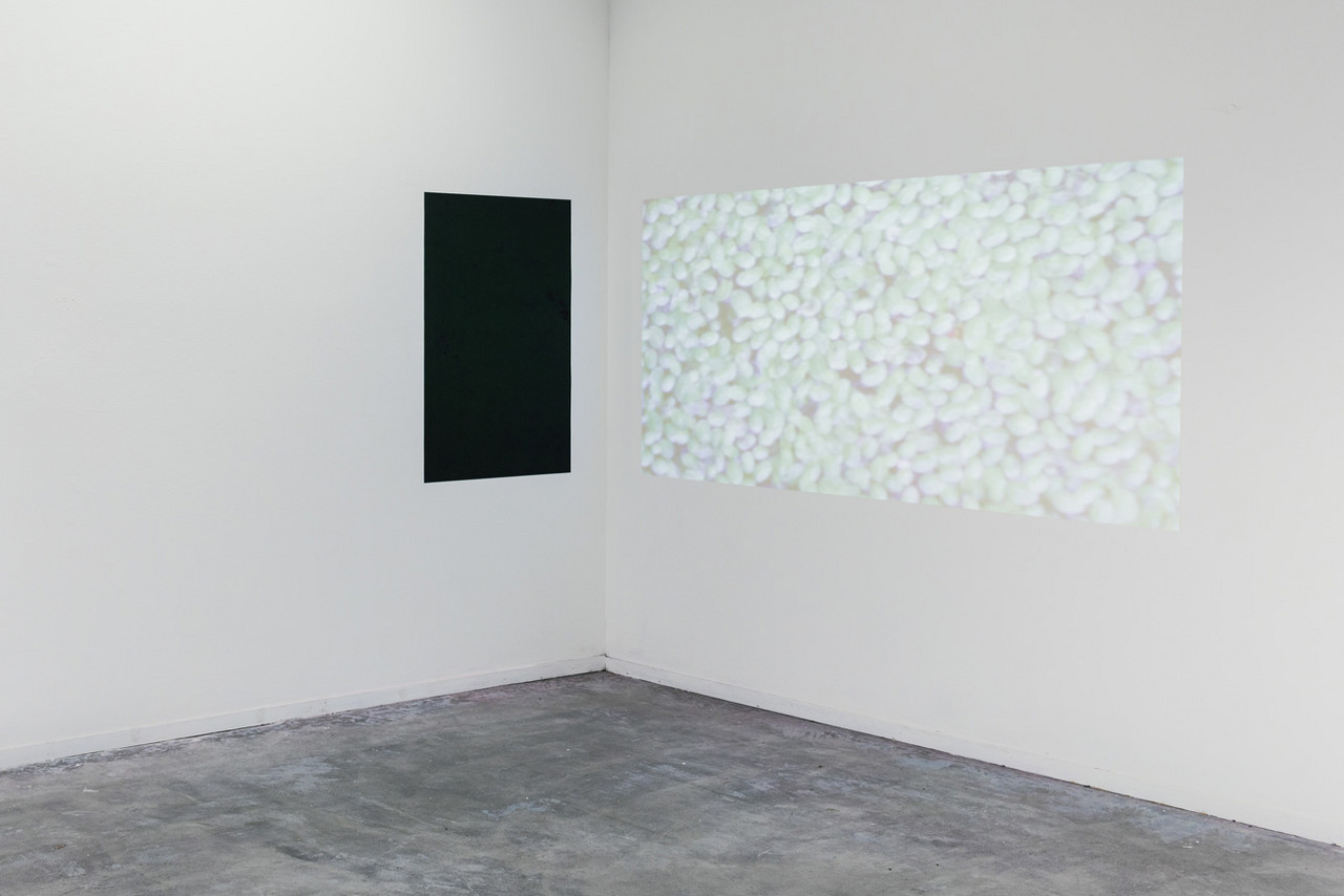 SOFTNESS 2023 Videoinstallation, Inkjet-Druck A0, Projektion
