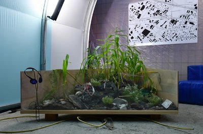 Tiny Food Forest