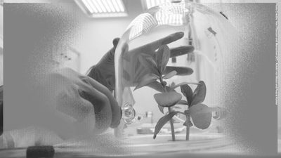 Visual Abschlussprasentation