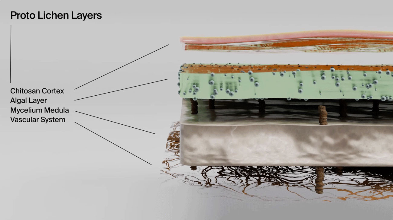 Arbeit «Proto-Lichen» von Massimo Bordogna, Vera Bardin, Sacha Schwarz, Leon Junge. © ZHdK.