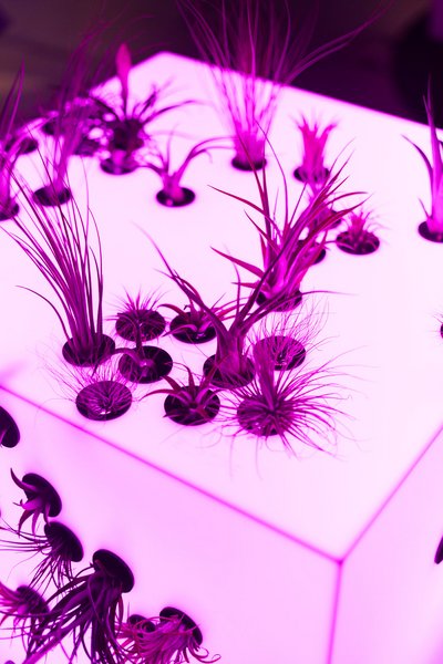 «Meteorit» an der Ausstellung Refresh. Foto: David Jäggi.