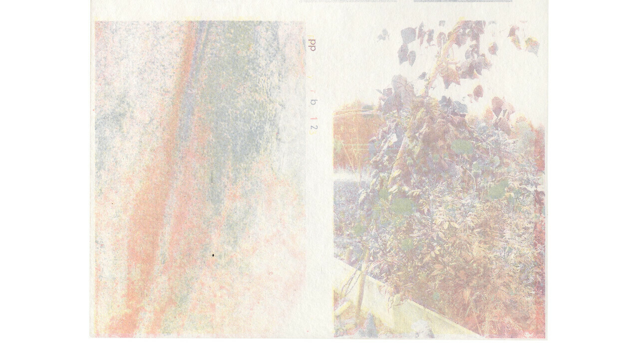 Bachelorarbeit «printed plants catalog» von Nicolas Wagner. Fachrichtung Visual Communication. © ZHdK.