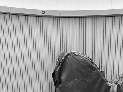 Julie Born Schwartz: "APPROACHING DEATH: transforming our conversations around fear of dying"