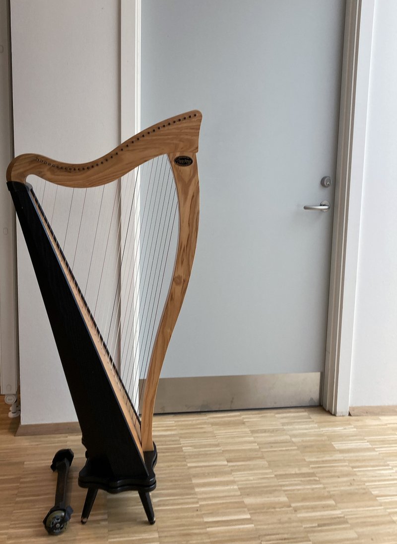 Harp, Hospice, Denmark. Photographs by Julie Schwartz