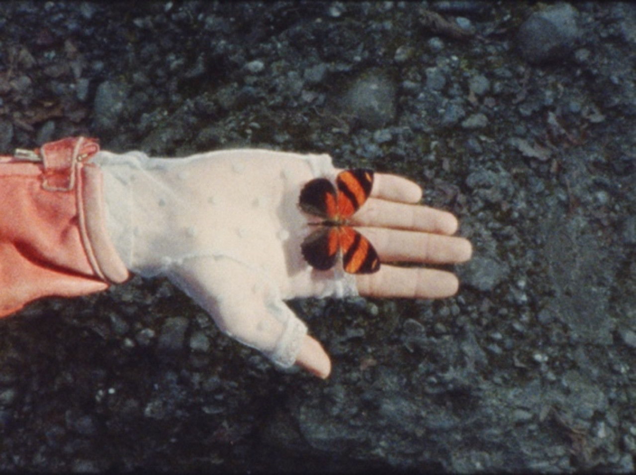 Diplomfilm "A monster called love" von Sophia Nimua Schweizer; Copyright: Sophia Nimua Schweizer