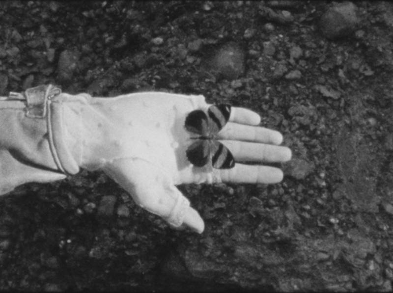 Diplomfilm "A monster called love" von Sophia Nimua Schweizer; Copyright: Sophia Nimua Schweizer